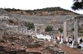 42 d_DSC_0166